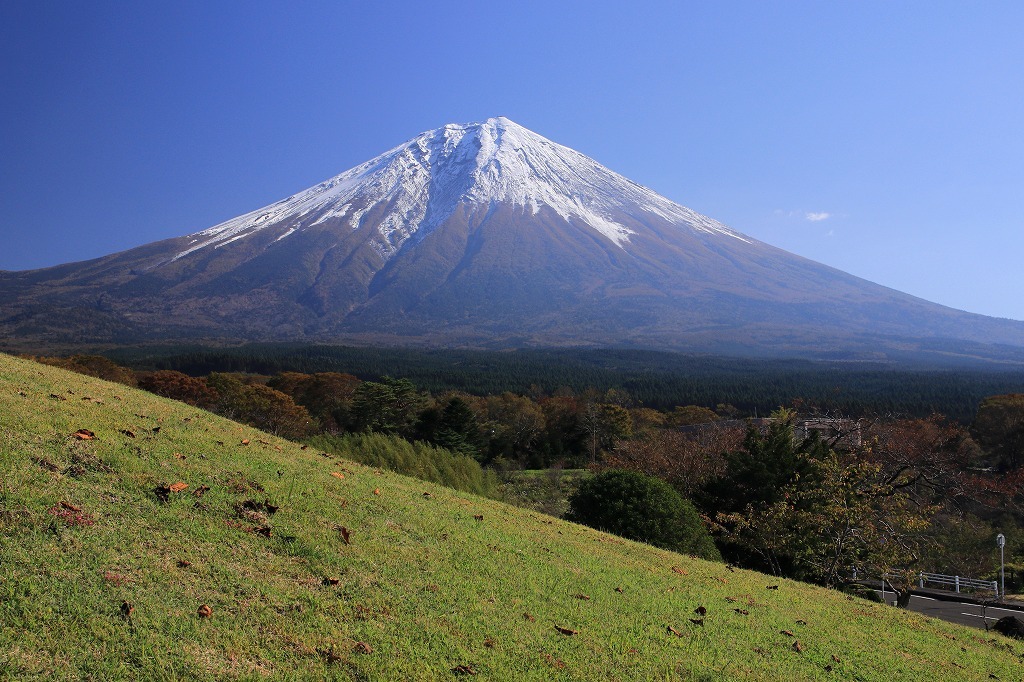 a0188405_05582450.jpg
