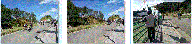 f0231709_11131116.gif
