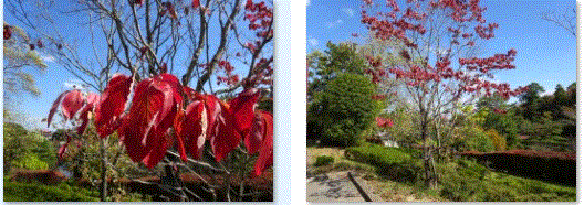 f0231709_11592561.gif