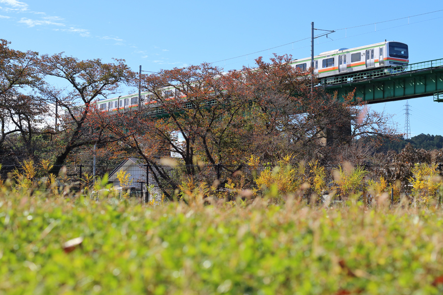 b0353411_23364021.jpg