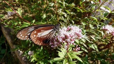 f0371014_05301197.jpg