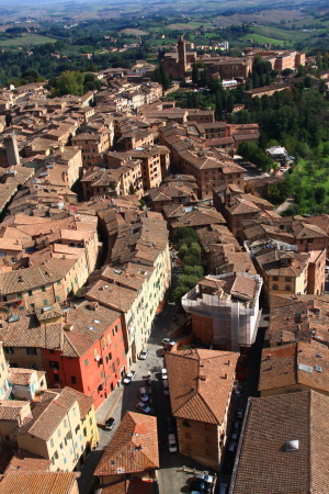 a0113718_01075300.jpg