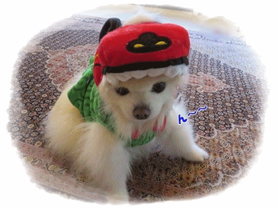 b0167519_20241540.gif