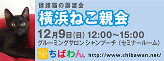 10/30引き出し編・レポート紹介　全　５７頭_f0078320_16044279.jpg