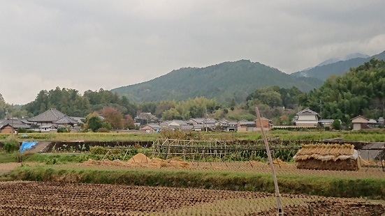 f0000521_19425326.jpg