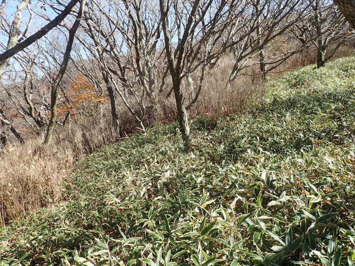 f0193521_10394090.jpg