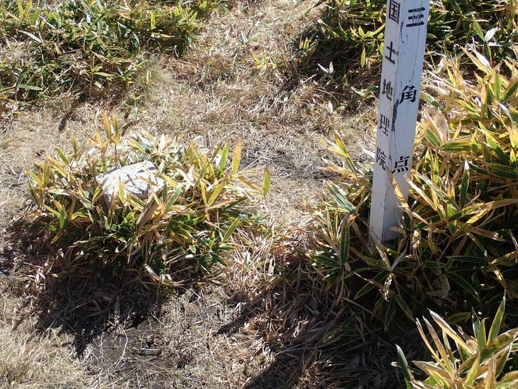 f0193521_10462342.jpg