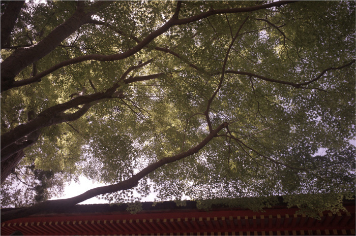 b0226423_23011083.jpg