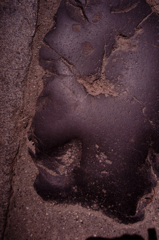 b0226423_23023683.jpg