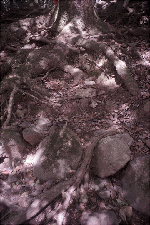 b0226423_23075117.jpg