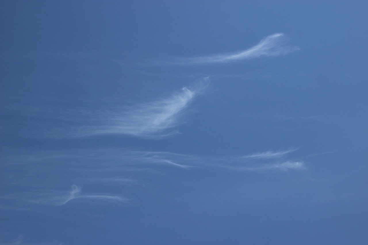 b0162728_1682796.jpg