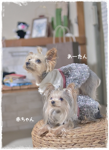 d0179828_00331700.png