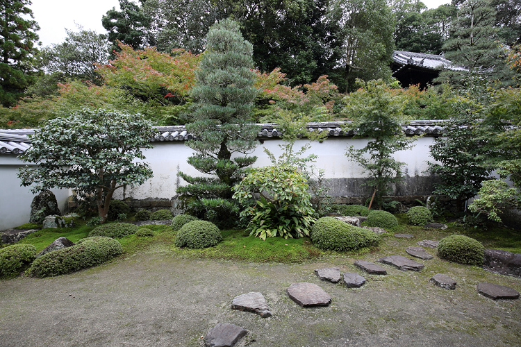 そうだ 京都、行こう。 －2018年紅葉 一休寺－ _b0169330_7215744.jpg