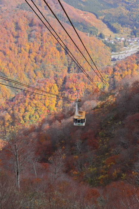 苗場紅葉 - 2 -_f0348831_21502454.jpg
