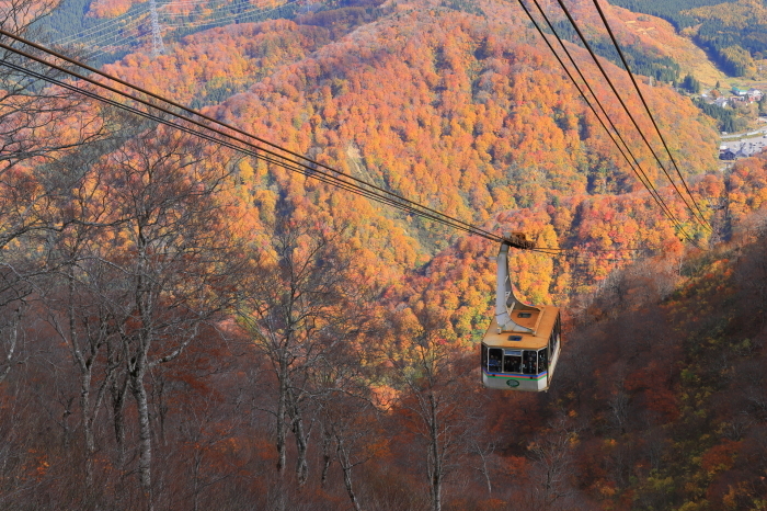 苗場紅葉 - 2 -_f0348831_21502571.jpg