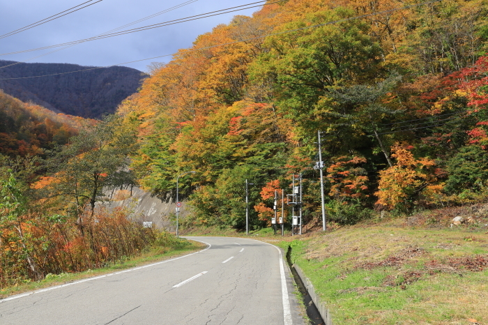 苗場紅葉 - 2 -_f0348831_21503859.jpg
