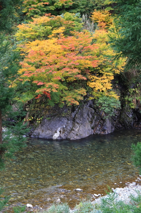 f0348831_23193340.jpg
