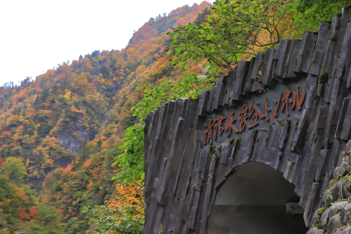 f0348831_23194297.jpg