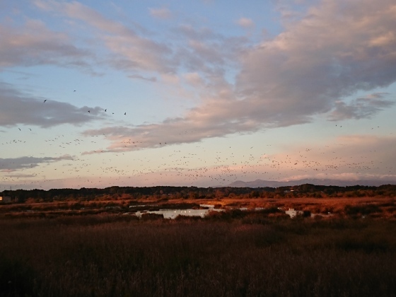 f0118332_21484163.jpg
