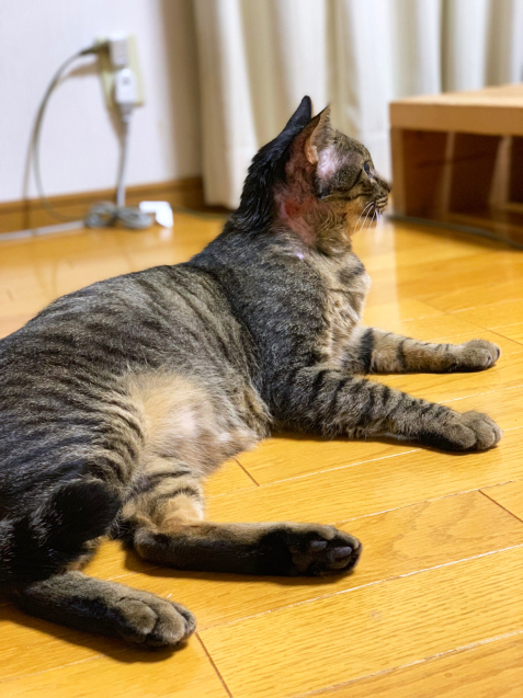 やっぱり行ってよかった病院。_d0355333_21344277.jpg