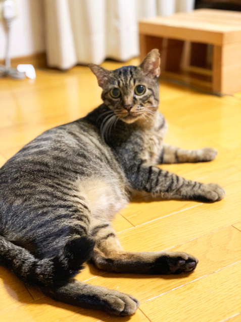 やっぱり行ってよかった病院。_d0355333_21344417.jpg