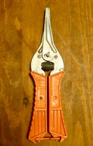 Tullen snips_b0156734_13423338.jpeg