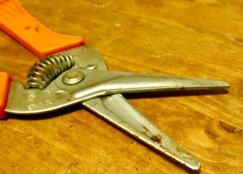 Tullen snips_b0156734_13473134.jpeg