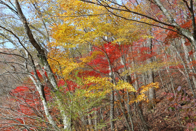 e0272335_20133184.jpg