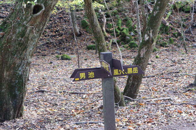 e0272335_20143449.jpg