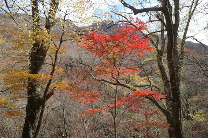 e0272335_20155262.jpg