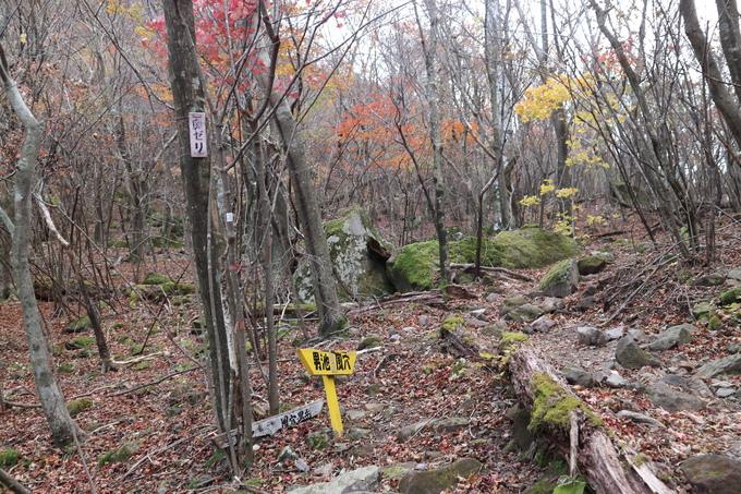 e0272335_20173522.jpg