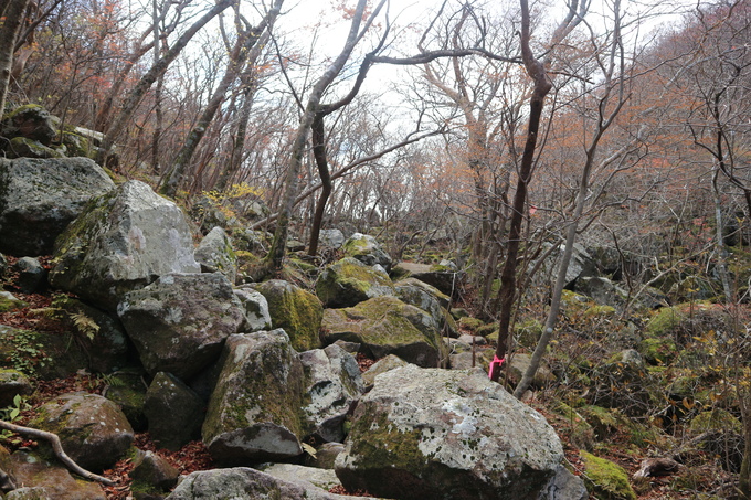 e0272335_20192455.jpg