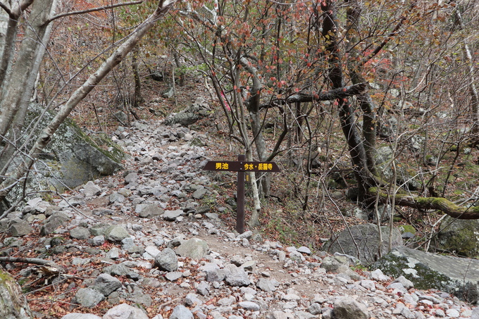 e0272335_20242827.jpg