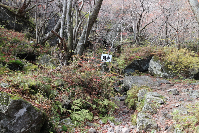 e0272335_20252557.jpg