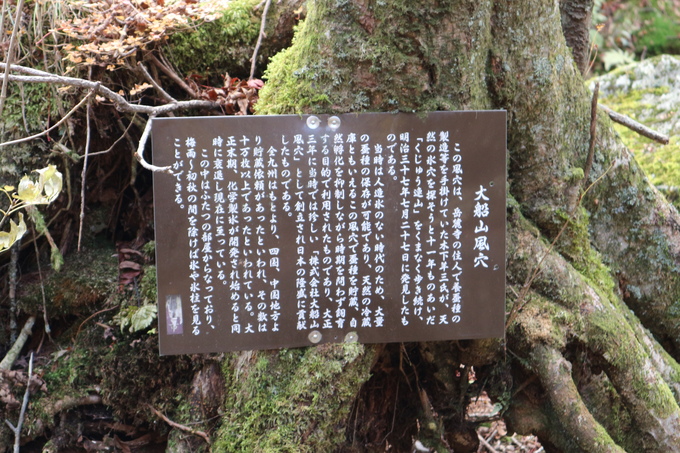 e0272335_2028243.jpg