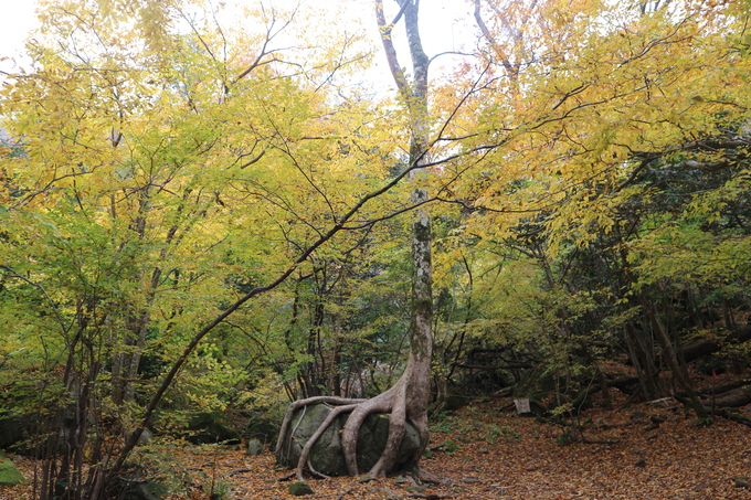 e0272335_20363172.jpg