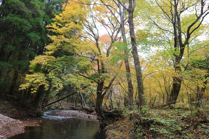 e0272335_20412250.jpg