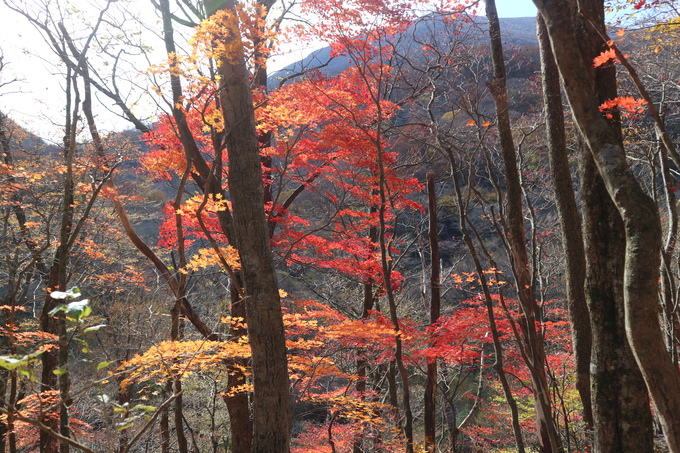 e0272335_2083170.jpg