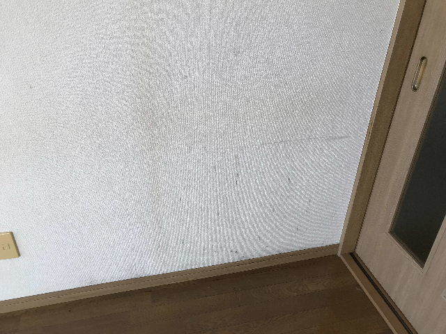 f0031037_19135370.jpg
