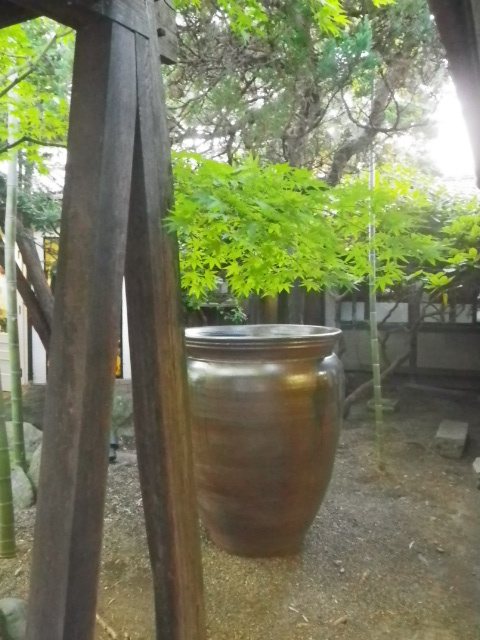 いろんなミル。_b0207642_11505842.jpg