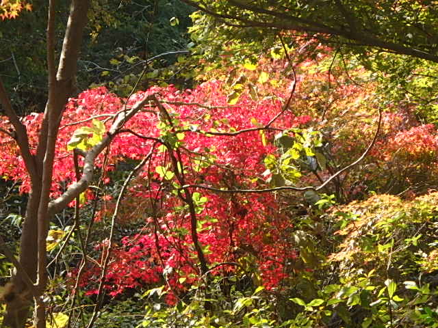 f0334143_910841.jpg