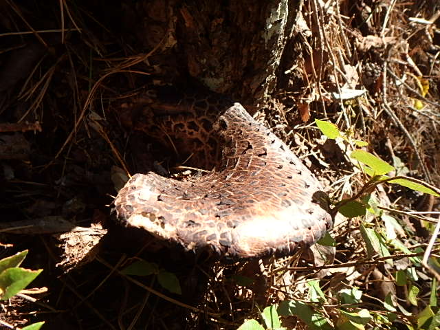 f0334143_923681.jpg