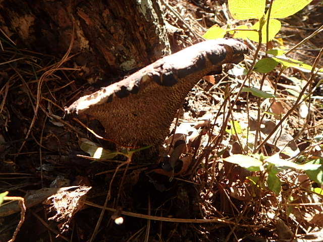 f0334143_932810.jpg