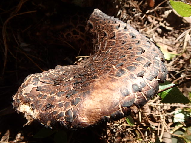 f0334143_935228.jpg