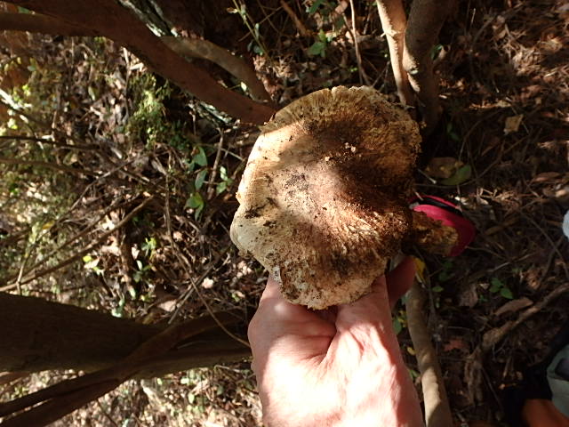 f0334143_96522.jpg