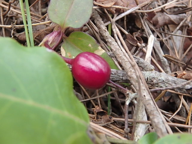 f0334143_973125.jpg