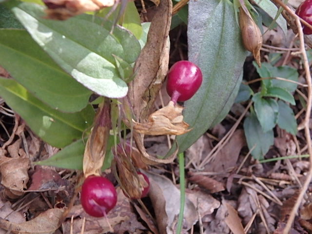 f0334143_973668.jpg