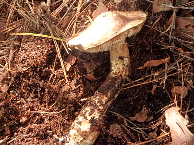 f0334143_982431.jpg