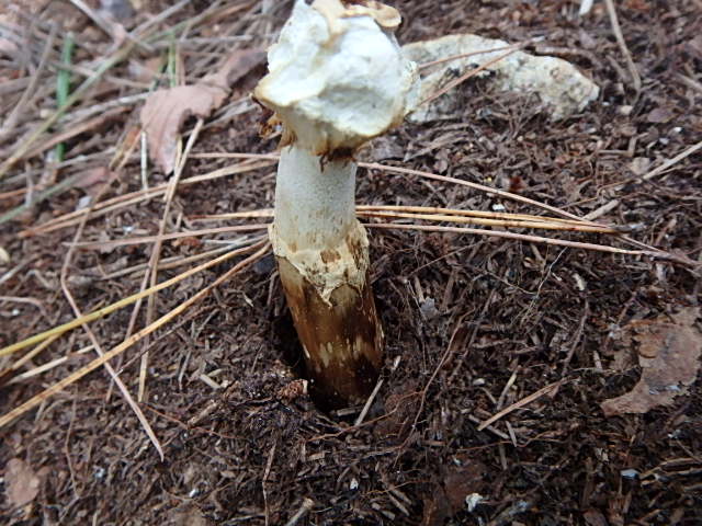 f0334143_985314.jpg
