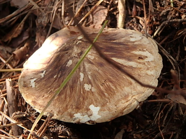 f0334143_9891.jpg